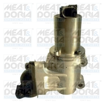 EGR Valve